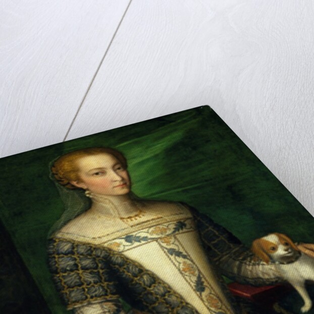 Portrait of a Woman, late 1560s by Bernardino Campi