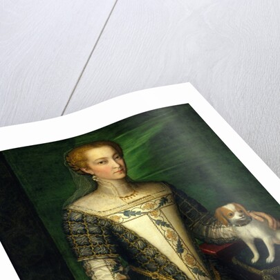 Portrait of a Woman, late 1560s by Bernardino Campi