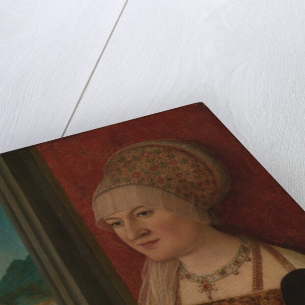 Portrait of a Woman, ca. 1510-15 by Bernhard Strigel