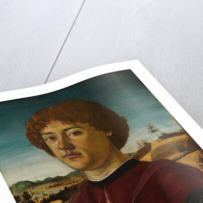 Portrait of a Young Man, probably ca. 1470 by Biagio d'Antonio
