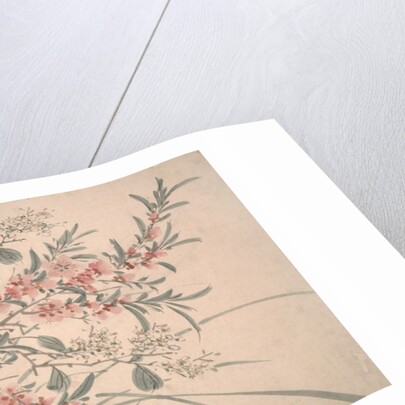 Garden Flowers, dated 1540 by Unknown