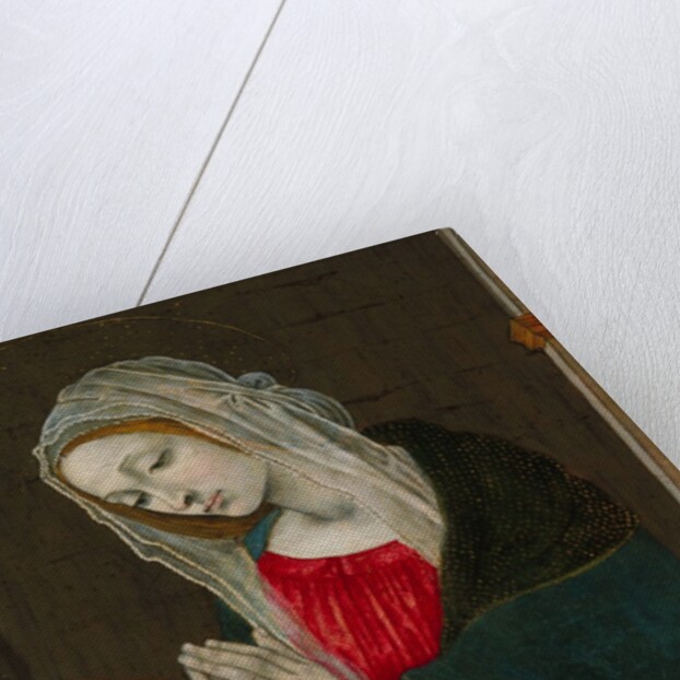 The Virgin of the Nativity, probably ca. 1500 by Workshop of Filippino Lippi