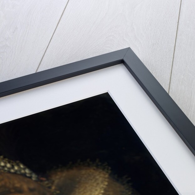 Margherita Gonzaga, Princess of Mantua by Frans Pourbus the Younger