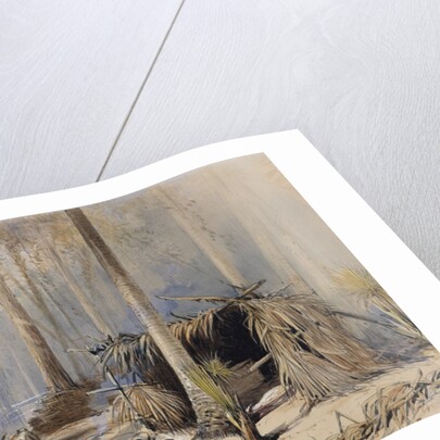 The Cypress-Shingle Yard, Ocklawaha River, Florida, 1870 by Harry Fenn