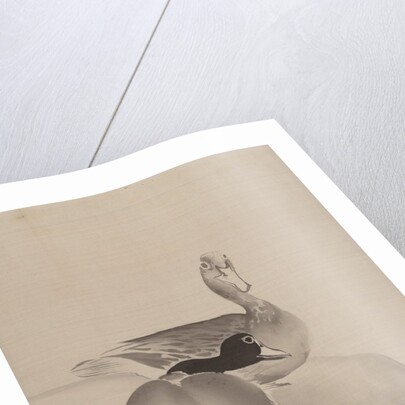 Pair of Ducks, 1887-92 by Gyokusho Kawabata