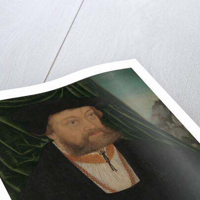 Portrait of a Man, 1537 by Unknown
