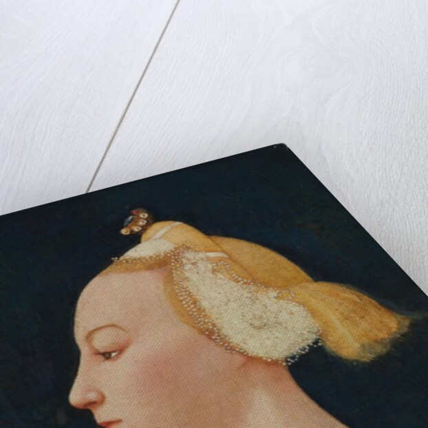 Portrait of a Woman, probably 1450s by Master of the Castello Nativity