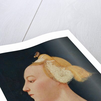 Portrait of a Woman, probably 1450s by Master of the Castello Nativity