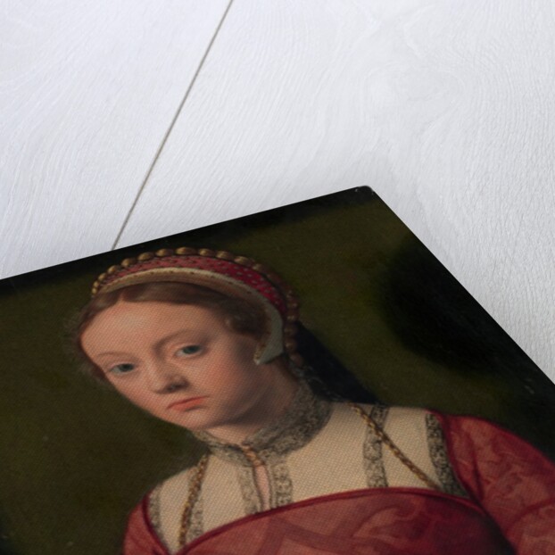 Portrait of a Young Woman by Netherlandish Painter