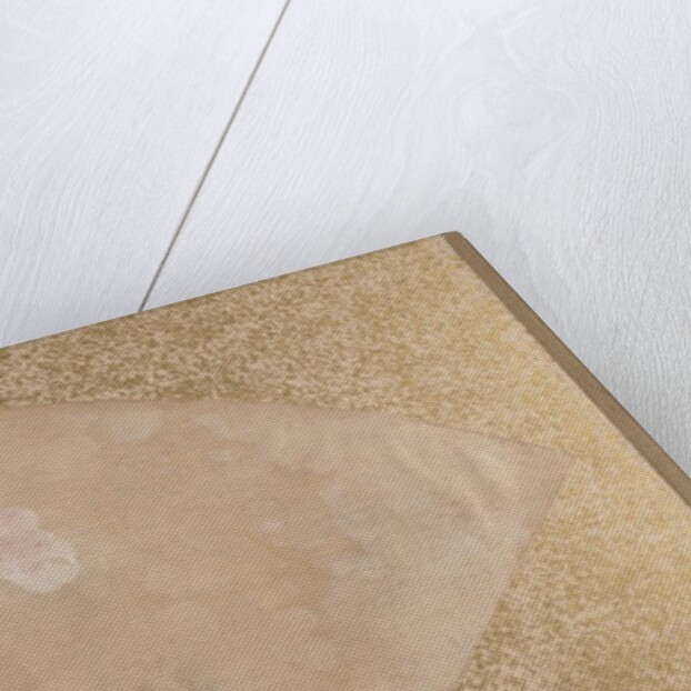 Flowers and Leaves, late 19th century by Shibata Zeshin