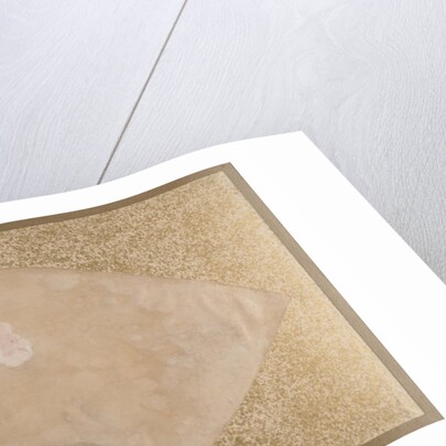 Flowers and Leaves, late 19th century by Shibata Zeshin