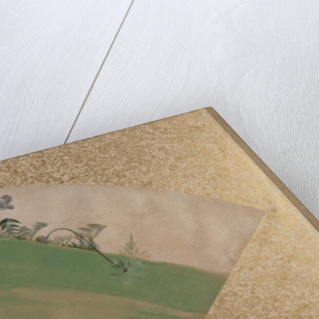 Flowers on Grass, late 19th century by Shibata Zeshin