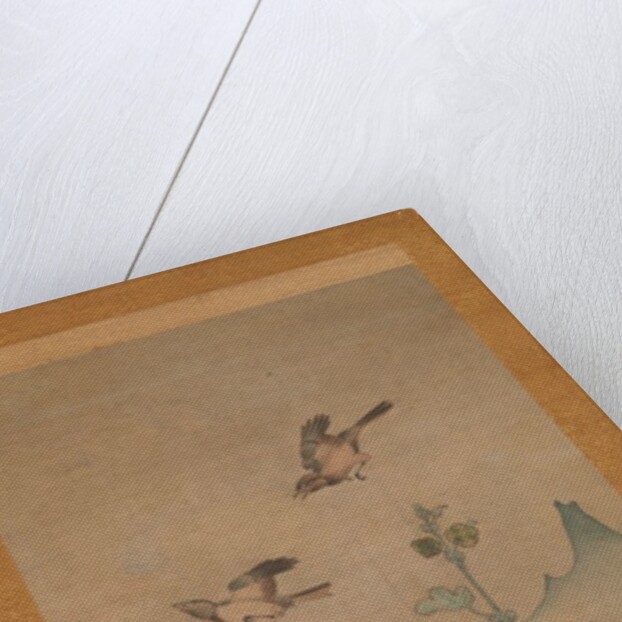 Birds and Flowers of Summer and Autumn, mid-16th century by Shikibu Terutada