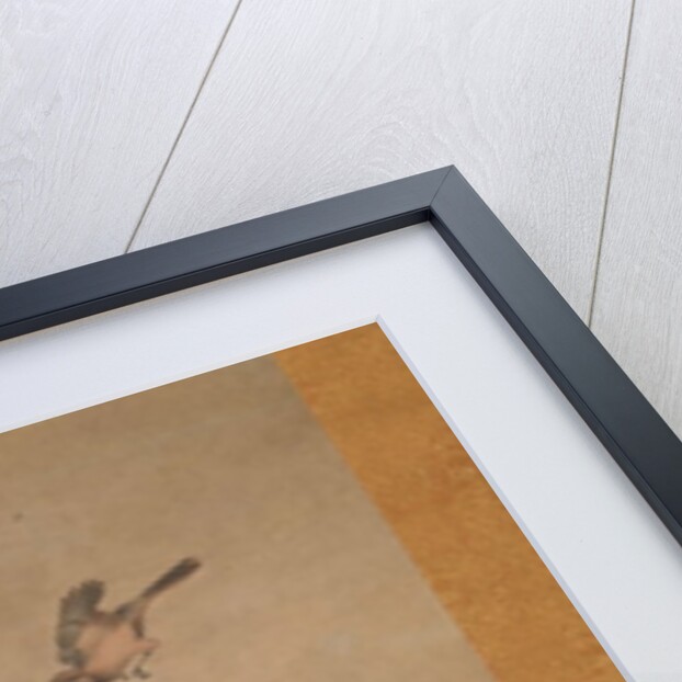 Birds and Flowers of Summer and Autumn, mid-16th century by Shikibu Terutada