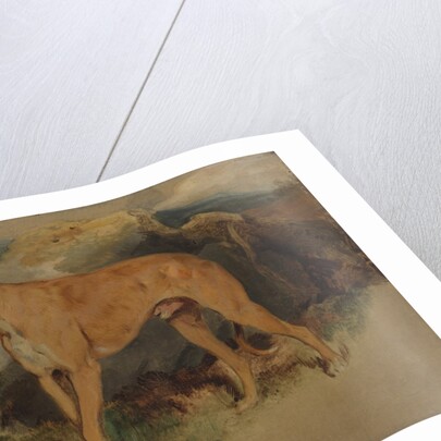 A Deerhound, 1826 by Edwin Henry Landseer