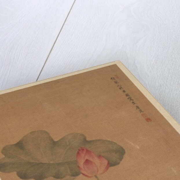 Red Lotus and Fish by Tang Guang