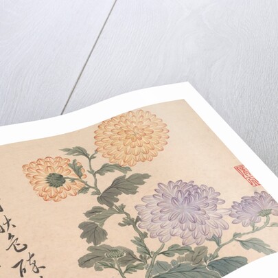 Chrysanthemums by Unknown