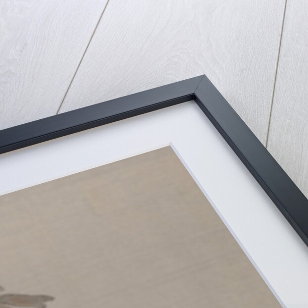 Birds on a Branch, ca. 1887 by Watanabe Seitei