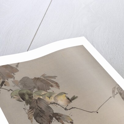 Birds on a Branch, ca. 1887 by Watanabe Seitei