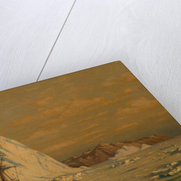 An Incident of Whaling by William Bradford