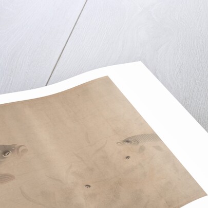 The Pleasures of Fishes, dated 1291 by Zhou Dongqing