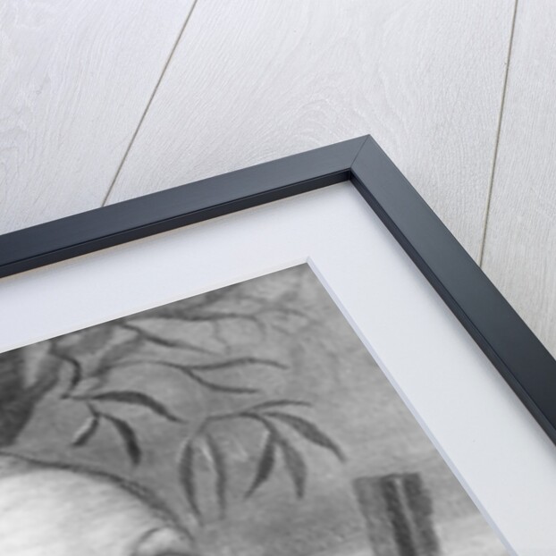 Black Hawk, 1800-1850 by Unknown