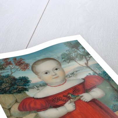 Portrait of a Boy, 1840s by Unknown