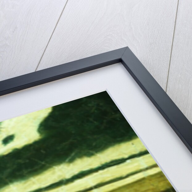 Landscape, 1897-98 by Albert Pinkham Ryder