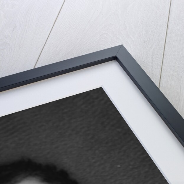 Dr. Samuel A. Bemis, ca. 1840 by Alvan Clark