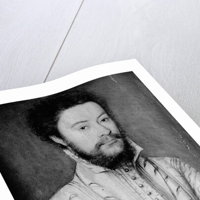 Portrait of a Bearded Man in White by Corneille de Lyon