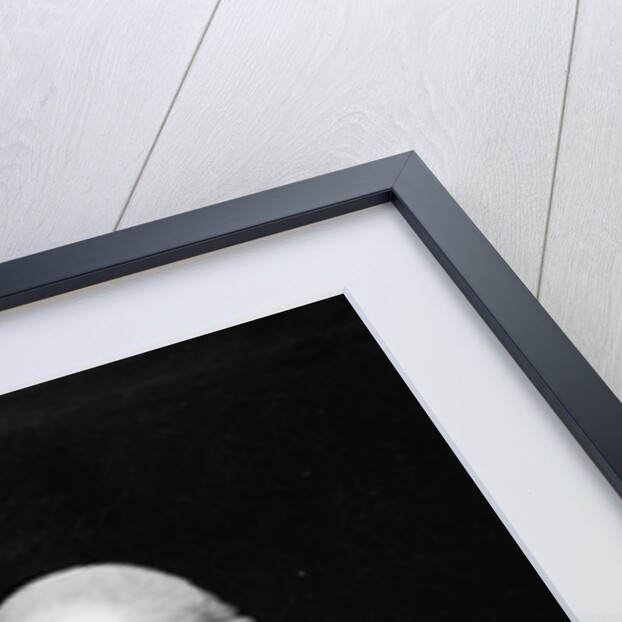 Don Bernardo de Iriarte by Goya (copy after)