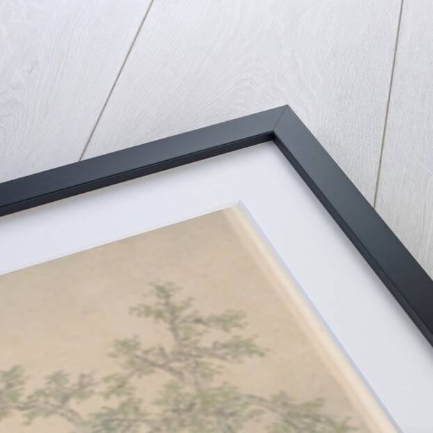 Landscapes, dated 1646 by Fan Qi