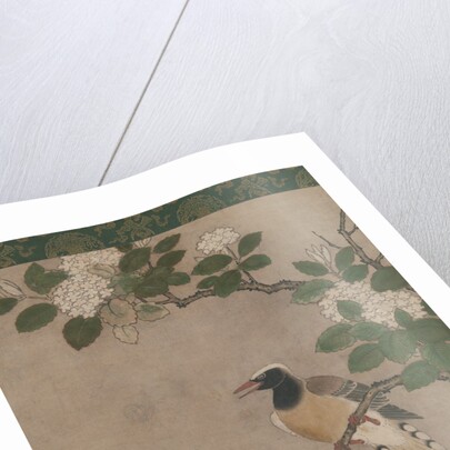 Magpie on Viburnum Branch, early 16th century by Genga