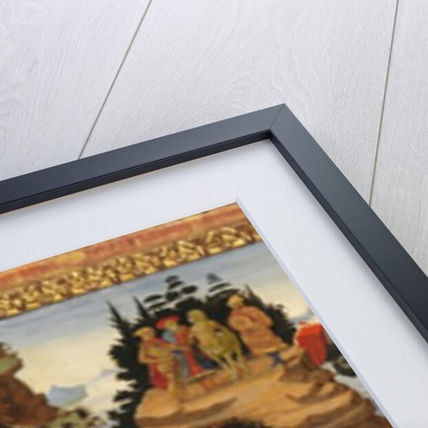 Scenes from the Story of the Argonauts, ca. 1465 by Jacopo del Sellaio