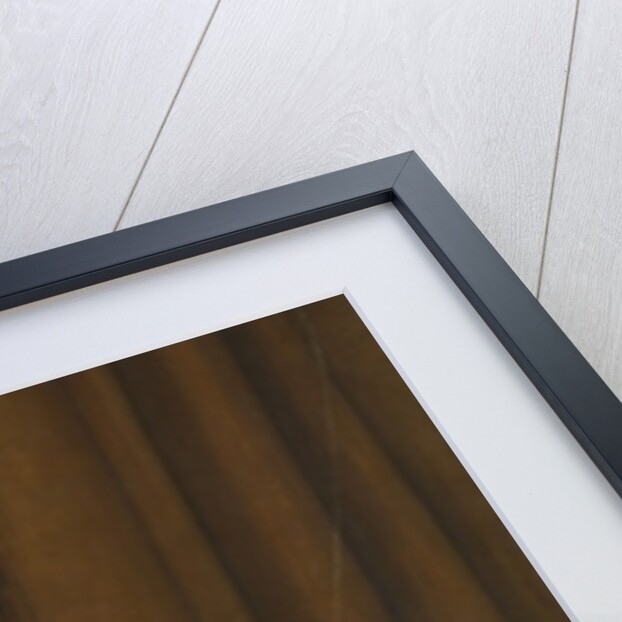 Harmony in Yellow and Gold: The Gold Girl?Connie Gilchrist, ca. 1876-77 by James Abbott McNeill Whistler