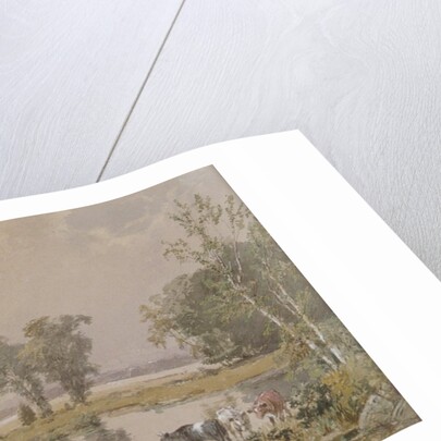 Hackensack Meadows, 1890 by Jasper Francis Cropsey