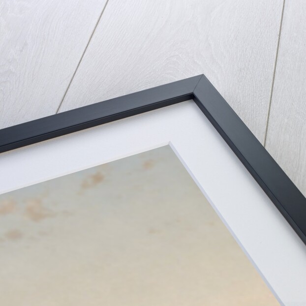 Summer Day on Conesus Lake, 1870 by John Frederick Kensett