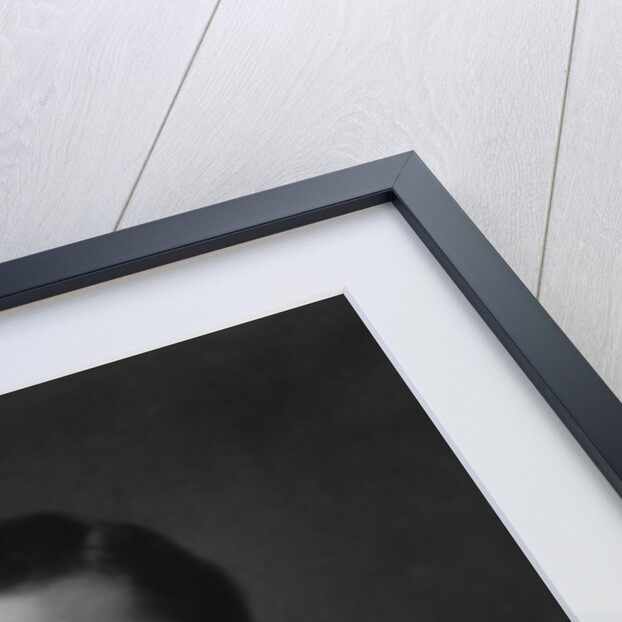 Stephen Whitney Phoenix, 1892 by Platt Powell Ryder