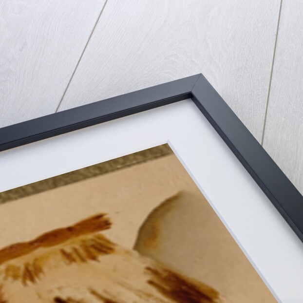 Rice-Drying Frame by Shibata Zeshin