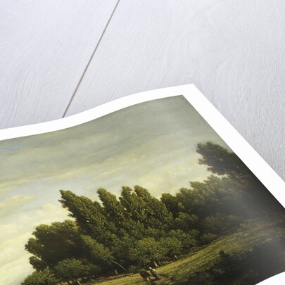 A Meadow Bordered by Trees, ca. 1845 by Theodore Rousseau