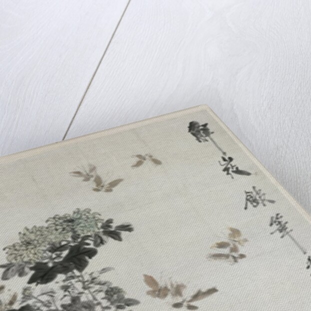 Cat and Butterfly, 19th century by Xugu