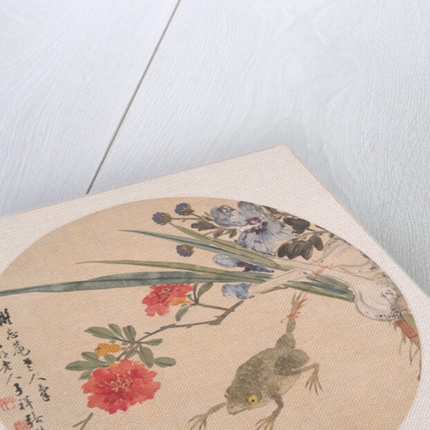 Flower and Toad by Zhang Xiong