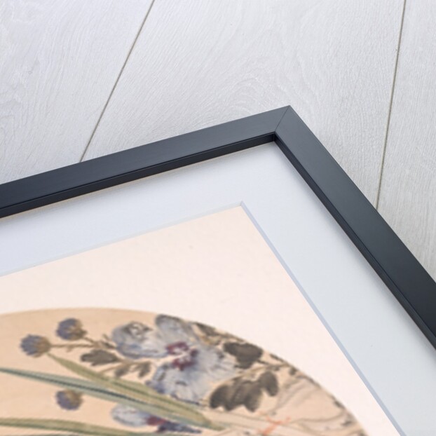 Flower and Toad by Zhang Xiong