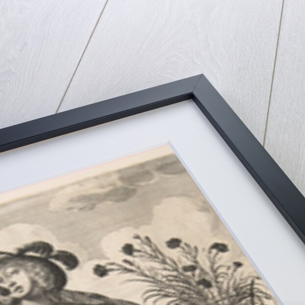 Smell, 1635-38 by Abraham Bosse