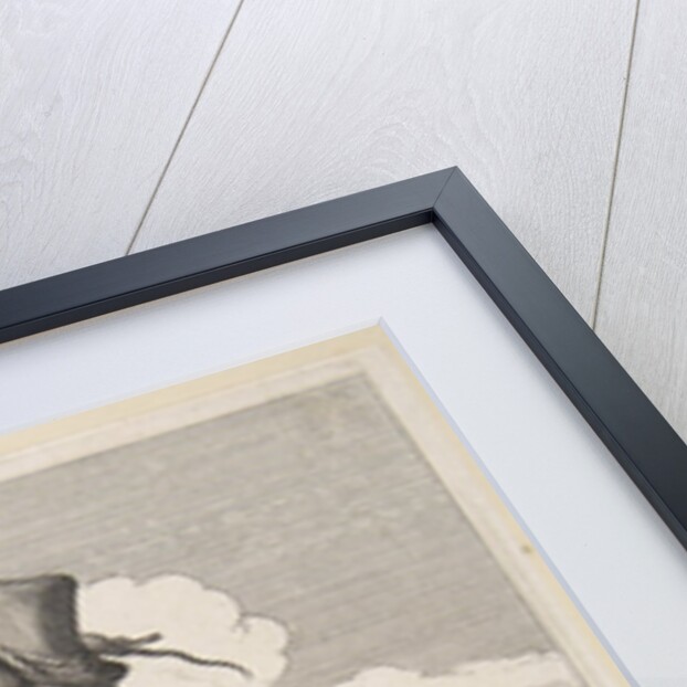 The Ratcatcher, mid to late 17th century by Abraham Bosse