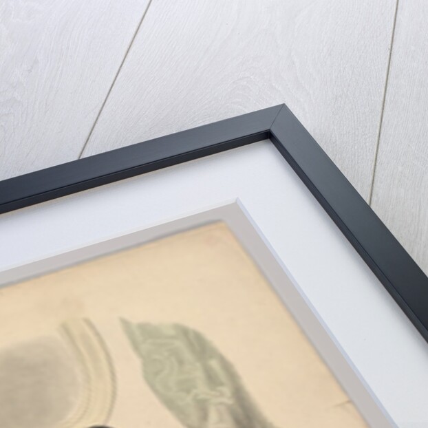 No. 51 from La Mode Illustrée, 1869 by Adèle-Anaïs Colin