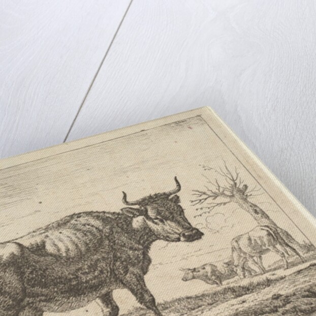 Three Cows, from Different Animals by Adriaen van de Velde