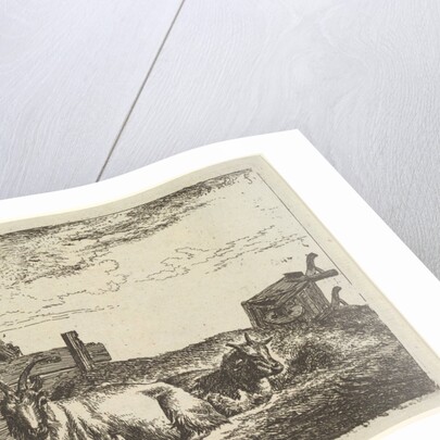 Recumbent Goats, from Different Animals by Adriaen van de Velde