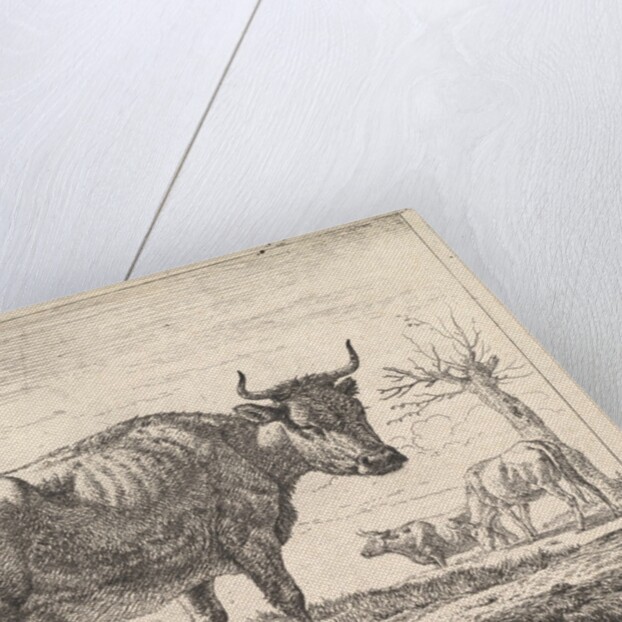 Three Cows by Adriaen van de Velde