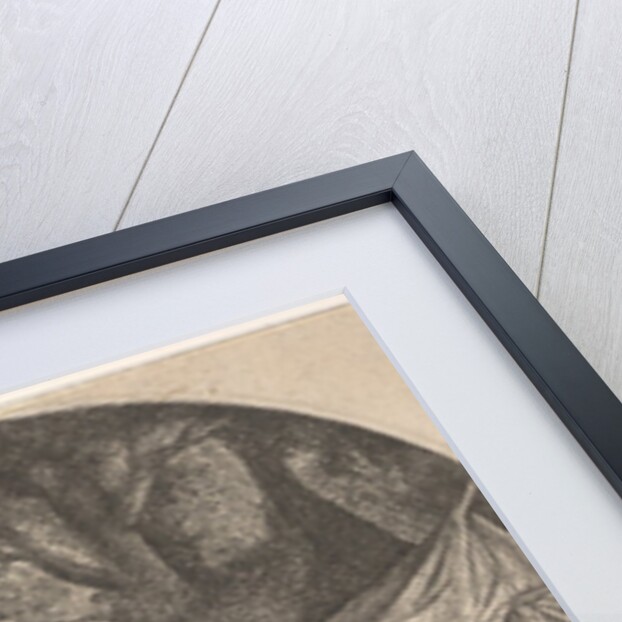 The Quack, 1610-85 by Adriaen van Ostade